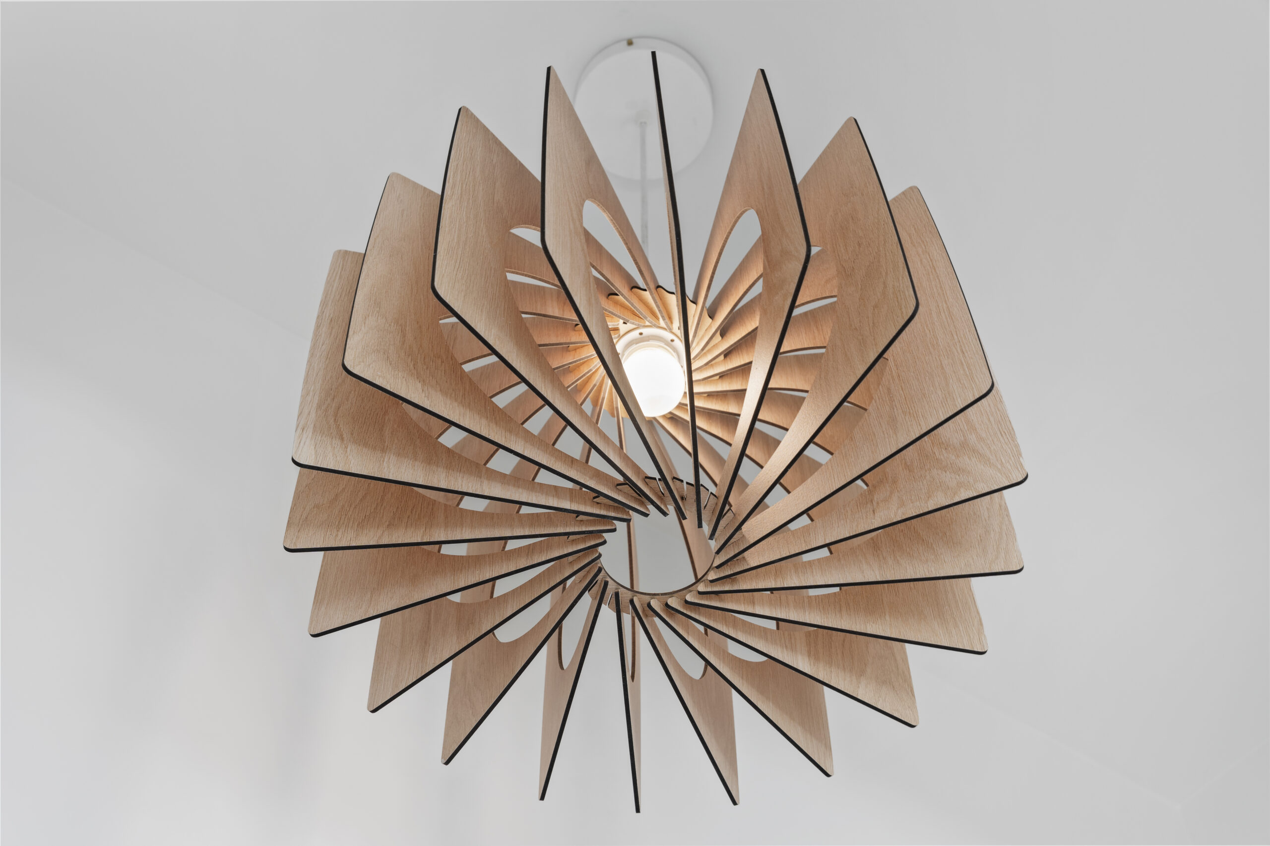 Schrimmer North Park Remodel light